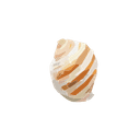 Shell 2