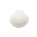 Shell 3