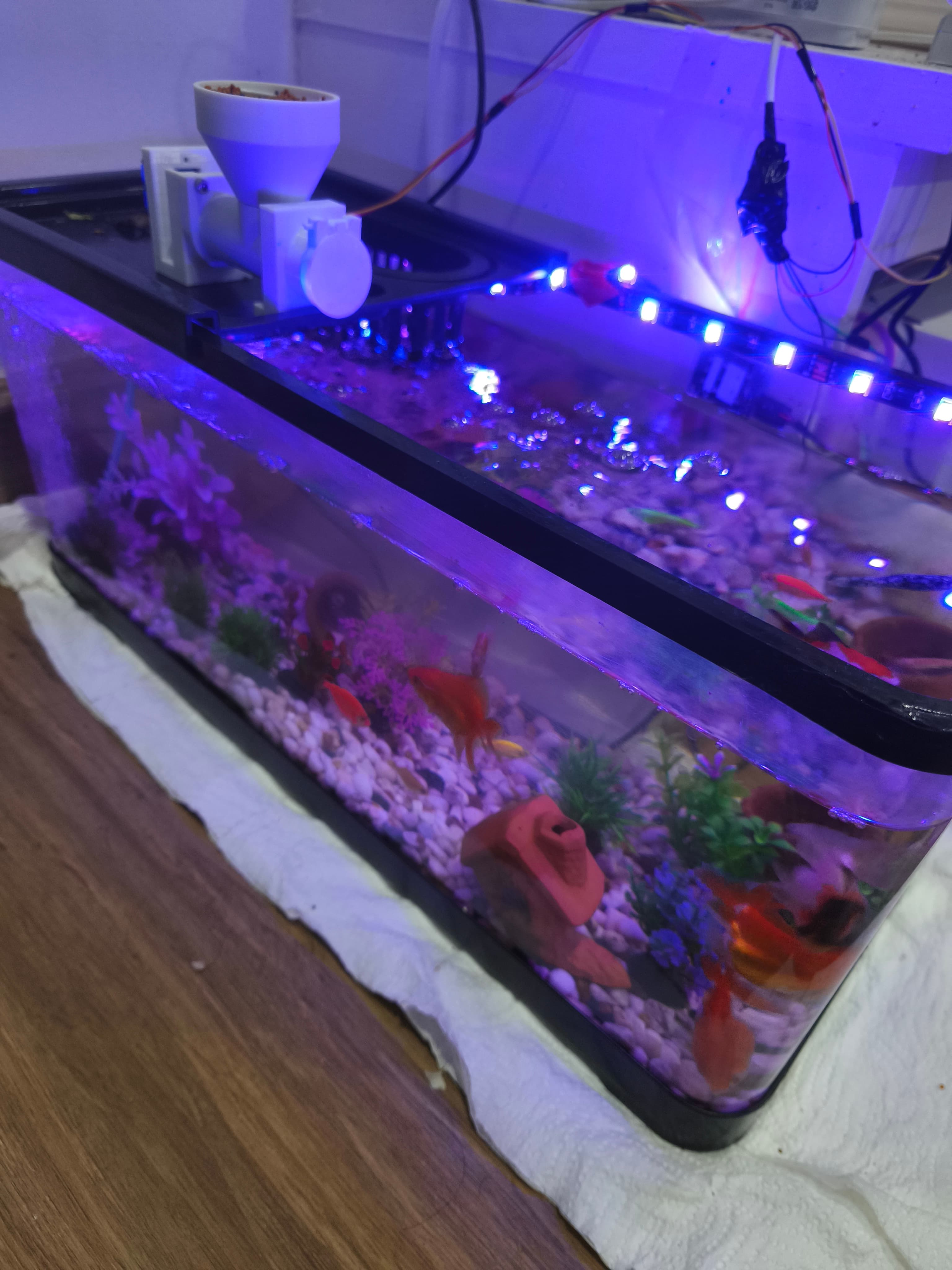 Automatic Aquarium preview